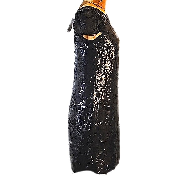 Sequins anyone?   Darling NWT Banana Republic size 4 dress - Picture 4 of 13